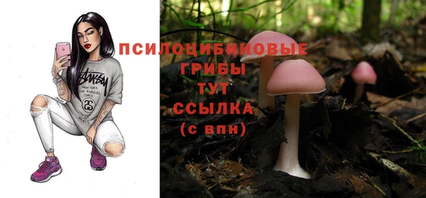мдпв Покровск