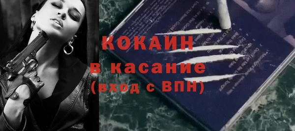 твердый Елизово