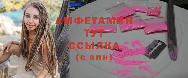 винт Ельня