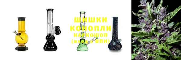 шишки Покачи