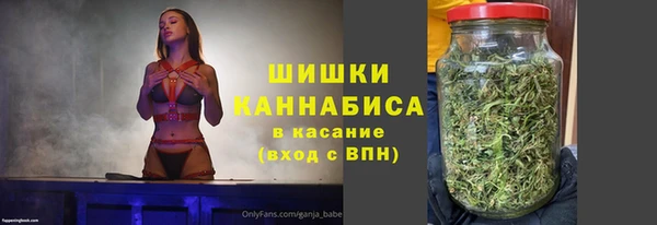 твердый Елизово