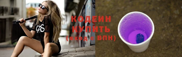 винт Ельня