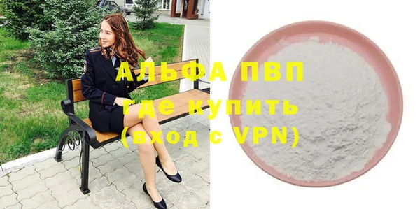 винт Ельня