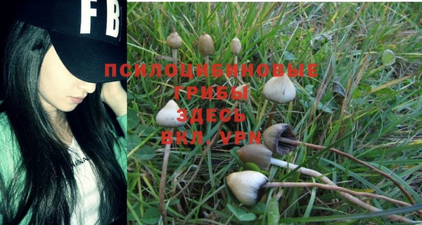 мдпв Покровск