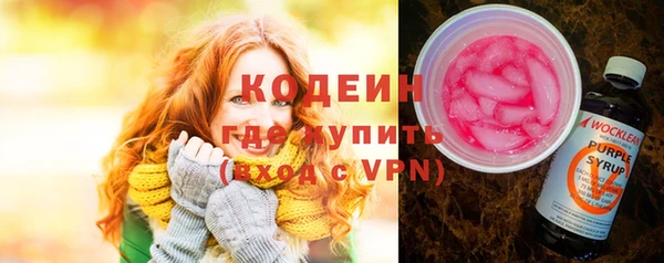 шишки Покачи