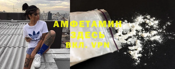 винт Ельня