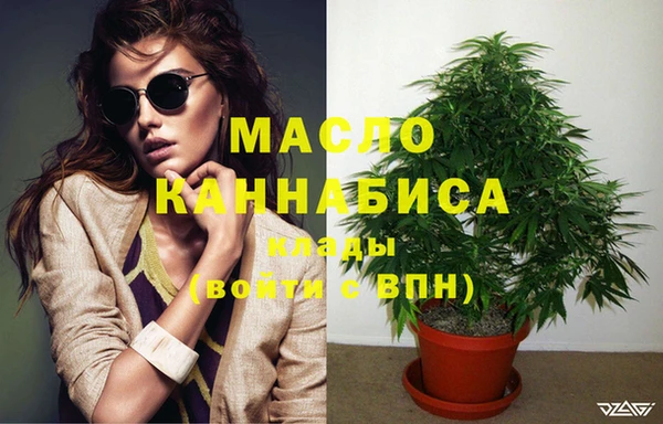 винт Ельня