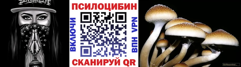 darknet Telegram  Приморск  Псилоцибиновые грибы GOLDEN TEACHER  где купить наркоту 